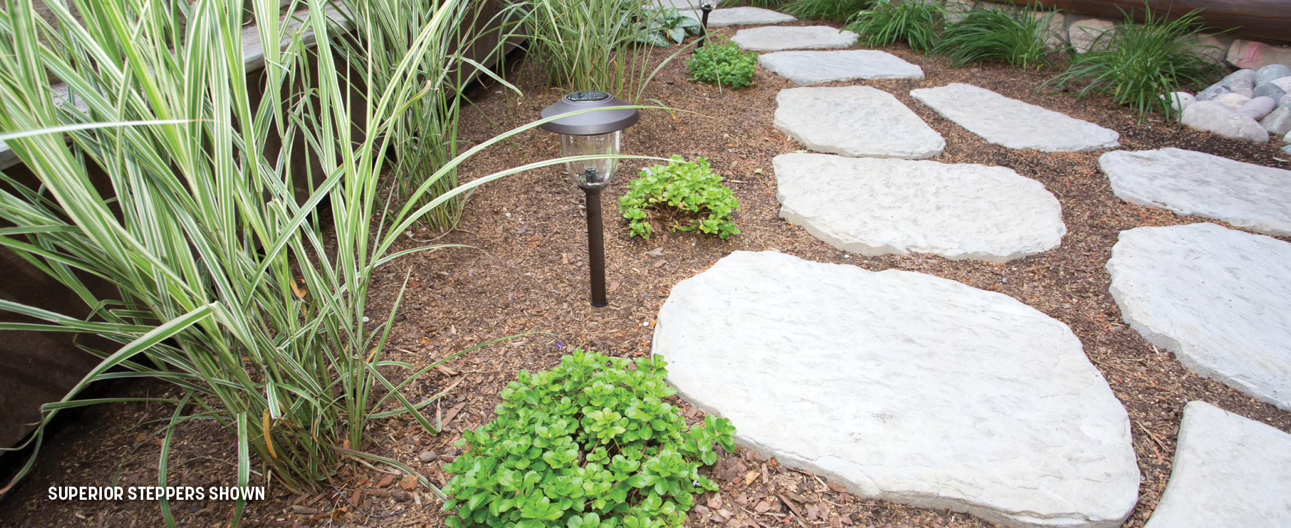 Rosetta_Banner_SteppingStone