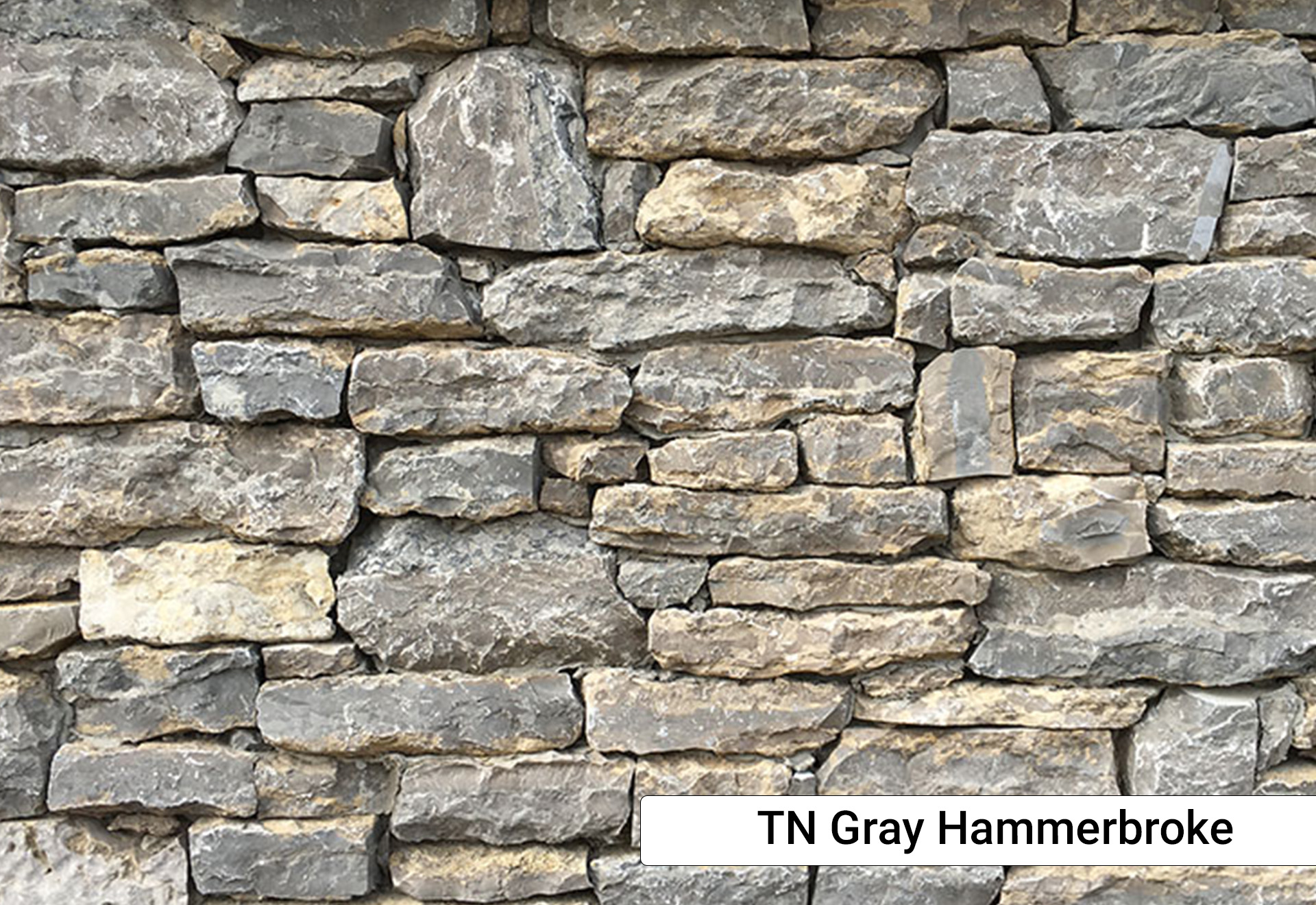TN Gray Hammerbroke