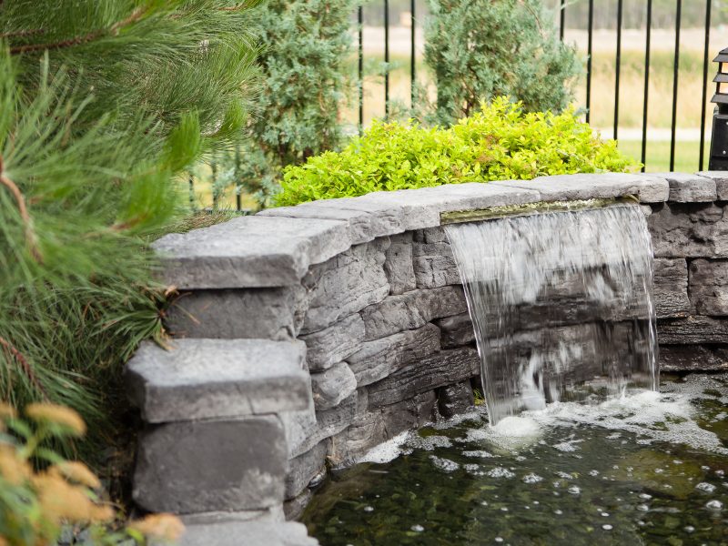 36519277820_5dffc04098_k