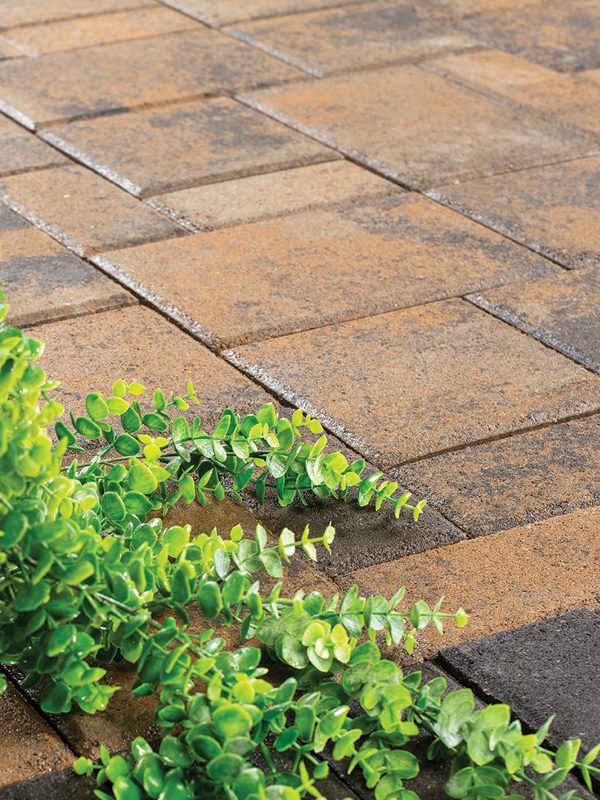 BM_Arlington_ProductLG